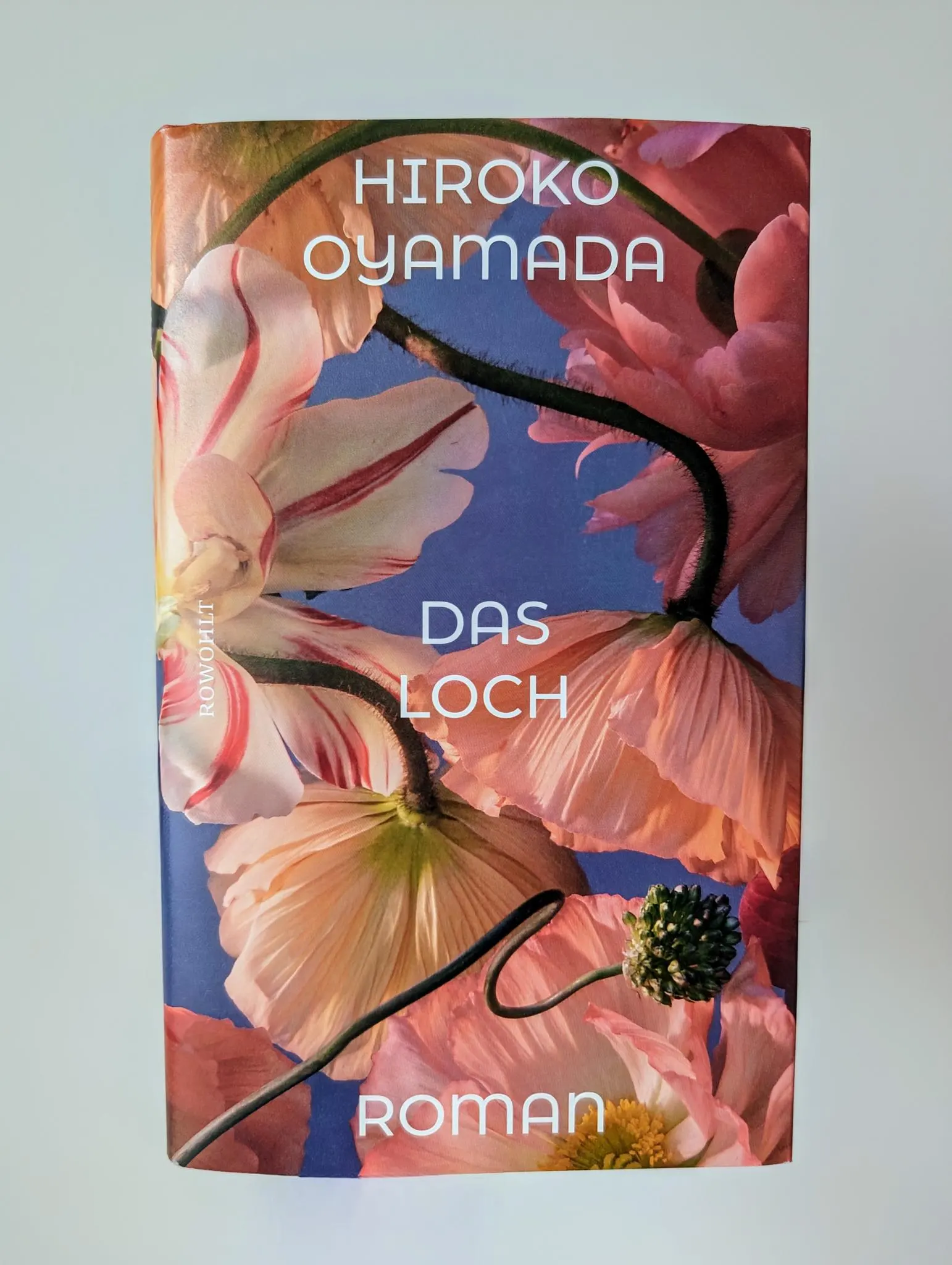 Rezension  Das Loch Hiroko Oyamada
