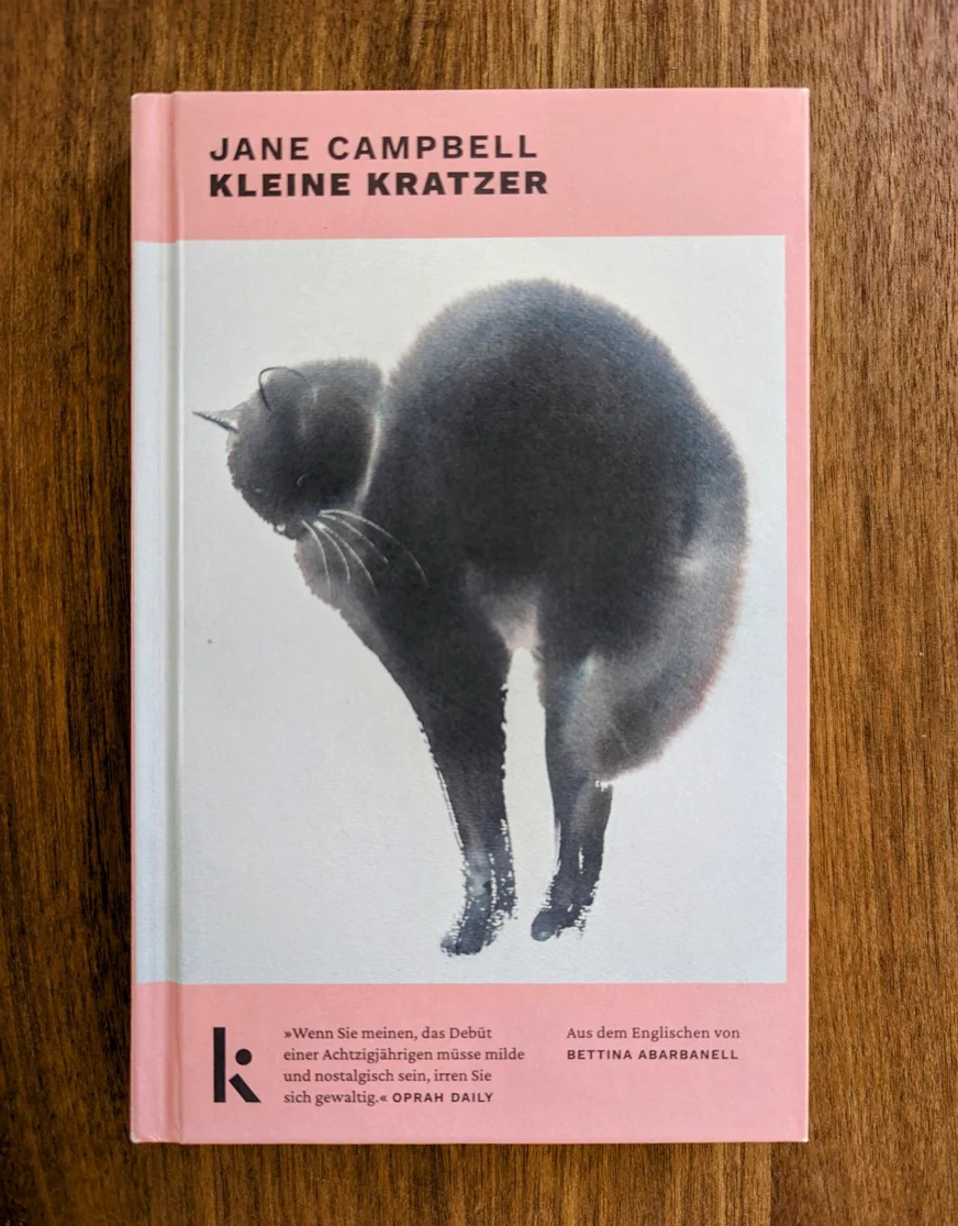 Rezension Kleine Kratzer Jane Campbell